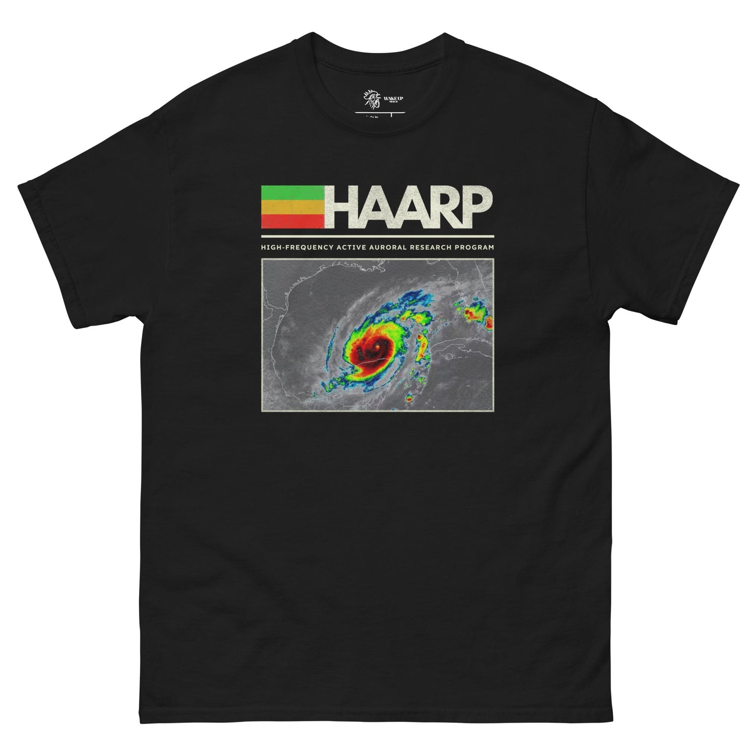 HAARP VINTAGE