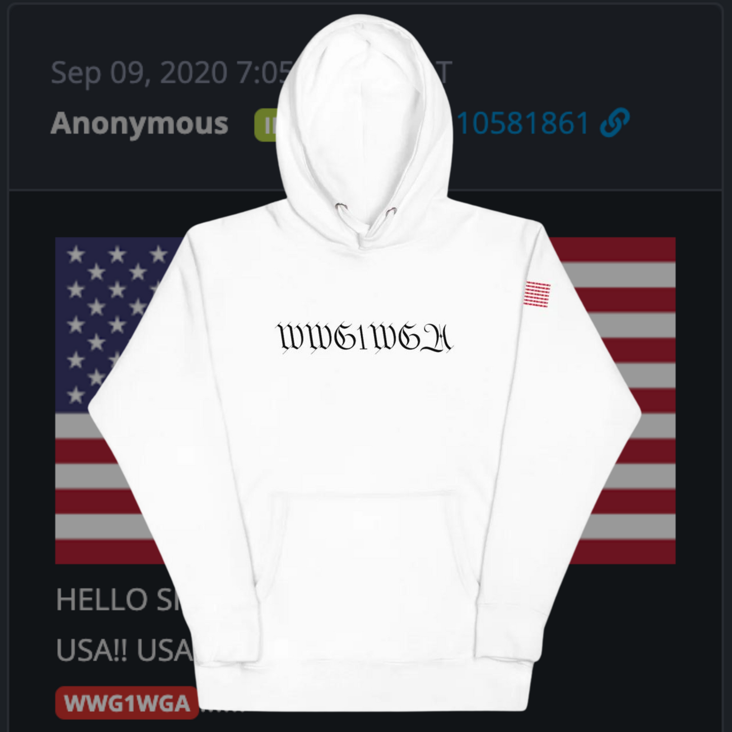 WWG1WGA FLAG Unisex Hoodie